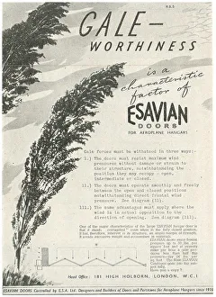 Hangar Prints: Esavian Hangar Doors