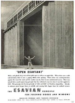 Hangar Prints: Esavian Hangar Doors