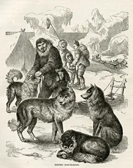Sled Prints: Eskimo dog-sledge