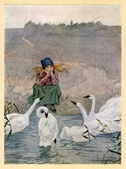 Images Dated 30th January 2019: Esmilda consoled by sympathetic swans