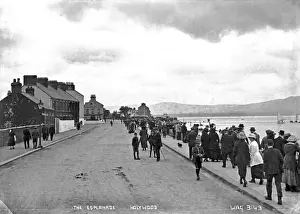 Edge Prints: The Esplanade, Holywood