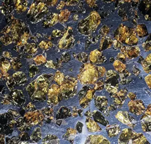 The Esquel pallasite