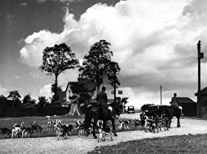 Images Dated 2nd September 2011: Essex Foxhounds Meet