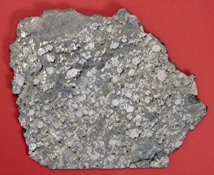 North America Gallery: The Estherville mesosiderite