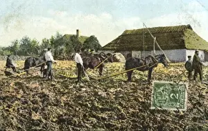 Estonia - Agricultural Scene