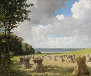 Images Dated 13th September 2010: The Estuary of the Shannon