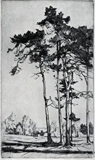 Williams Collection: Etching