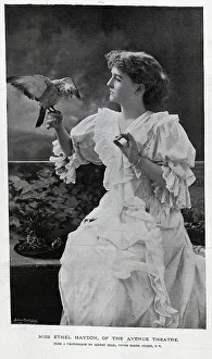 Haydon Prints: Ethel Haydon, actress