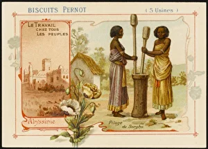 Abyssin Ia Gallery: Ethiopia - Sorghum