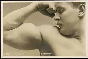 Physical Collection: Eugen Sandow, Muscles