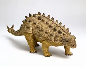 Euoplocephalus