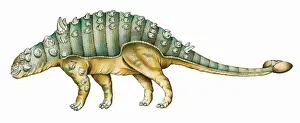 Euoplocephalus