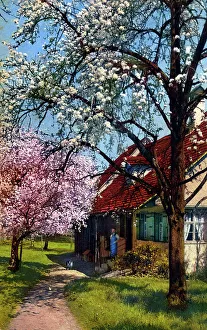 Blooming Prints: European Village scene with cherry blossom