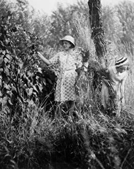 Images Dated 17th January 2019: EVACUEES AND FLOWERS