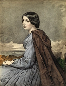 Images Dated 3rd June 2011: Evangeline