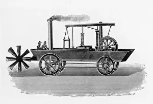 Evans Oruktor Amphibolis
