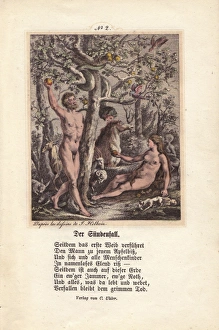 Peter Paul Rubens