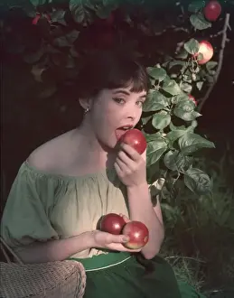 Eve the Temptress 1950S