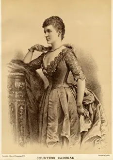 Cascade Prints: Evening Dress 1889