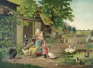 Lamb Prints: Evening on the farm
