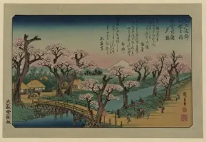 Glow Prints: Evening glow at Koganei Bridge