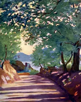 Sorrento Prints: Evening light near Massa, Peninsula of Sorrento, Italy