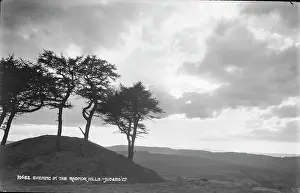 Evening in the Radnor Hills