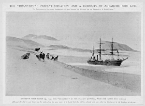 Exploration/Shackleton