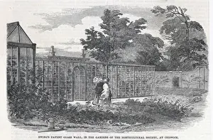 Chiswick Prints: Ewings glass wall, Chiswick, London