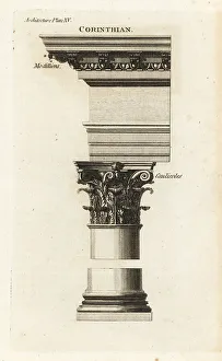 Pantheon Prints: Example of the Corinthian order from the Pantheon, Rome