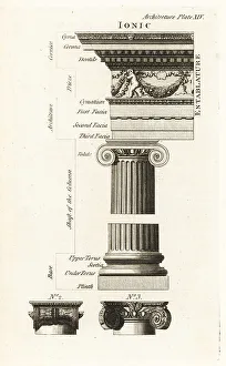 Draughtsman Prints: Example of the Ionic order, Temple of Fortuna Virilis, Rome