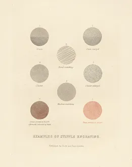 Cluster Prints: Example of types of stipple engraving