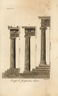 Images Dated 13th February 2020: Examples of the proportions of Doric columns, Greek