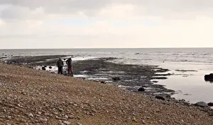 Palaeontologist Prints: Excavating at Charmouth
