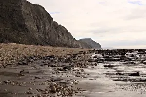 Excavating at Charmouth