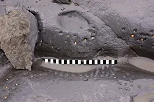 Excavating at Charmouth