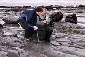 Excavating at Charmouth