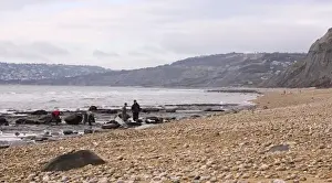 Excavating at Charmouth