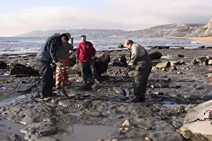 Excavating at Charmouth