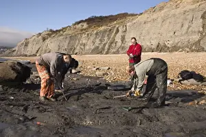 Excavating at Charmouth