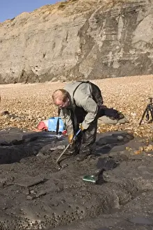 Excavating at Charmouth