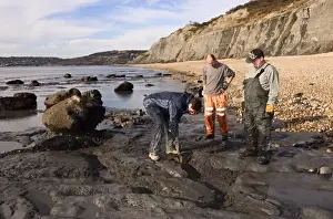 Excavating at Charmouth