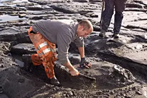 Excavating at Charmouth