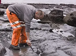 Excavating at Charmouth