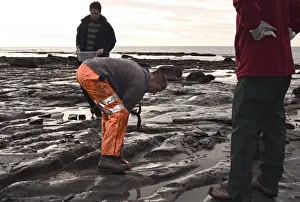 Excavating at Charmouth