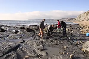 Excavating at Charmouth