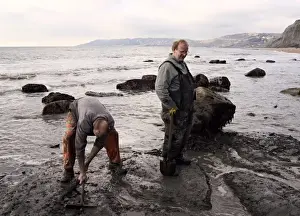 Excavating at Charmouth