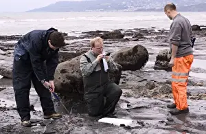Excavating at Charmouth