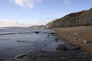 Excavating at Charmouth