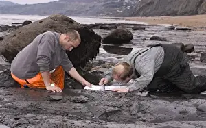 Excavating at Charmouth